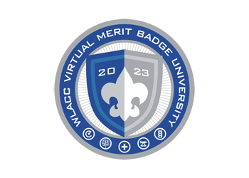 Virtual Merit Badge University